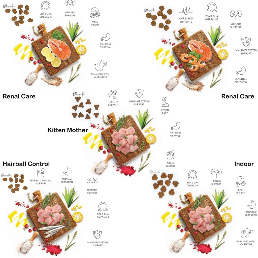 MOLLY Cat Food (2kg)